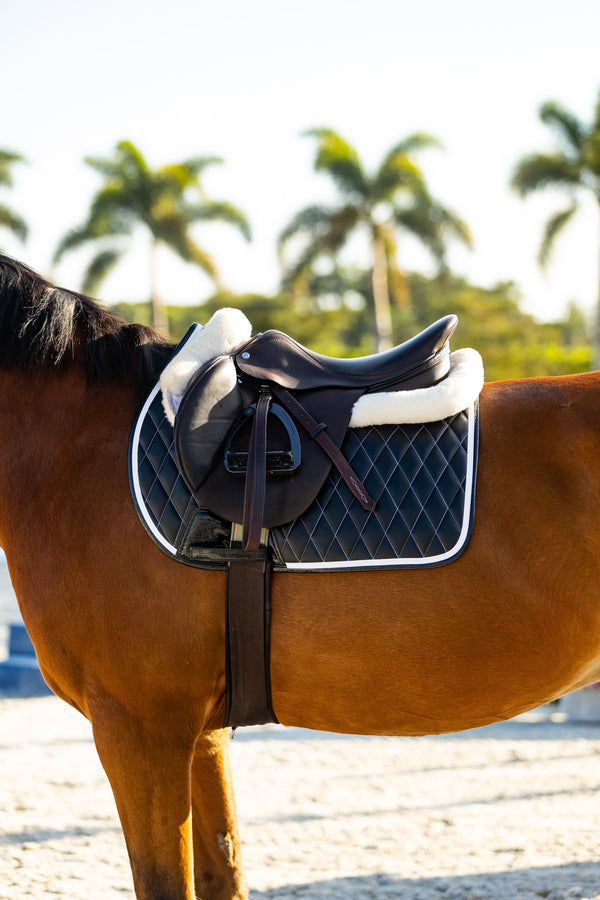 TACK & GEAR