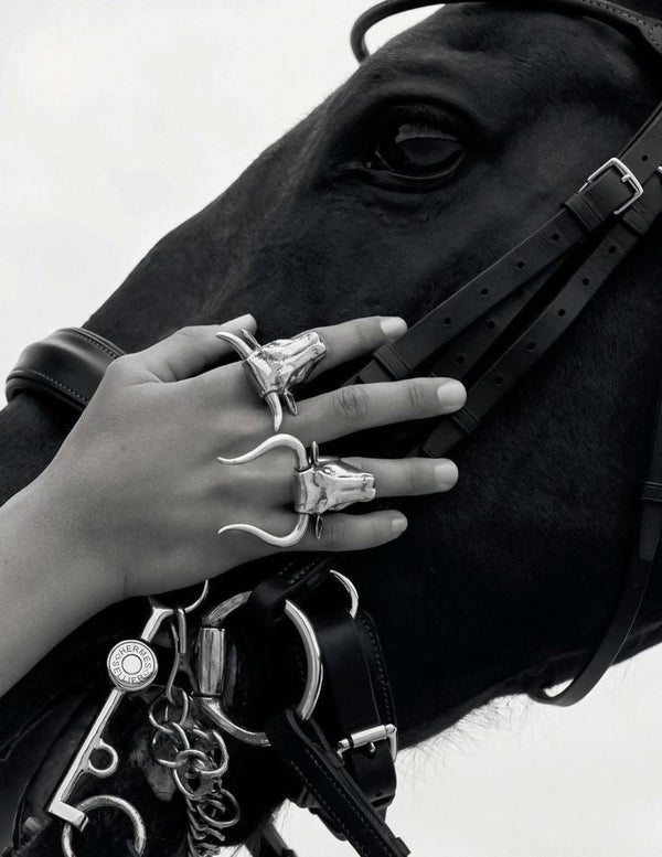 CLOTHING & ACCESSORIES
