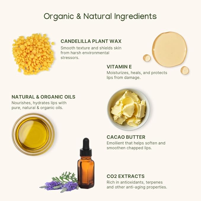 ILIKA Lip balm, Organic, 100% Plant-based, Natural Lip Treatment, 2 Pack, Ginger Lemon & Almond Cardamom Rose