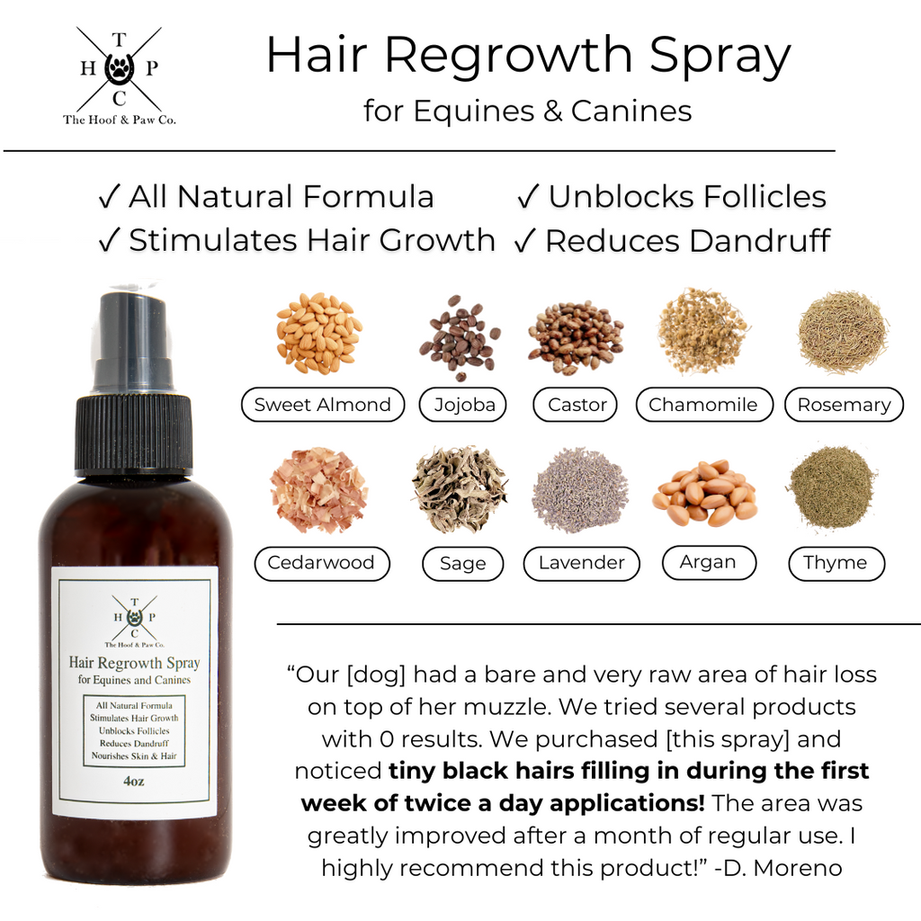 All Natural Hair Regrowth Spray - for Dogs & Horses (4oz or 8oz)