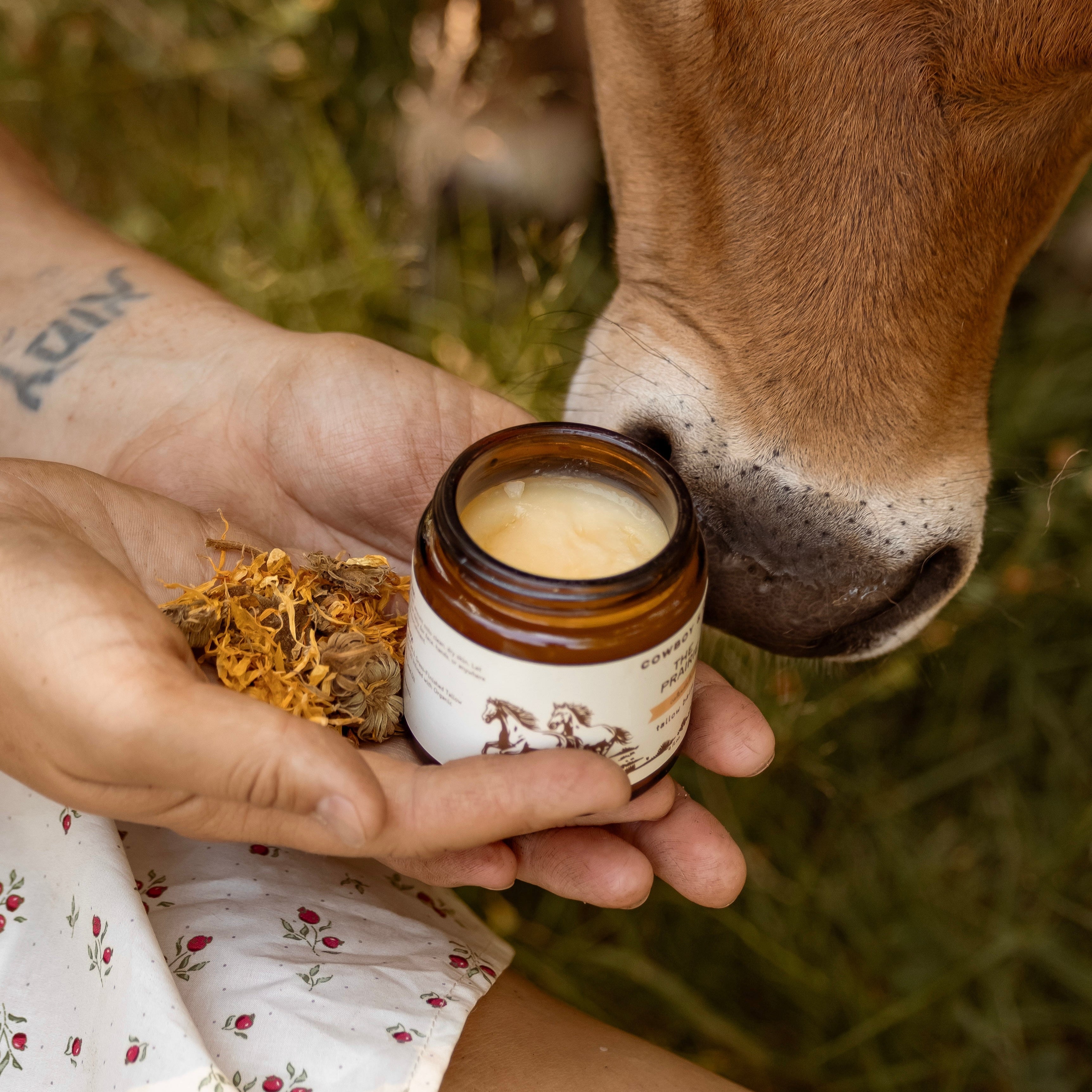 The Prairie - Calendula Infused Organic Tallow Balm Moisturizer