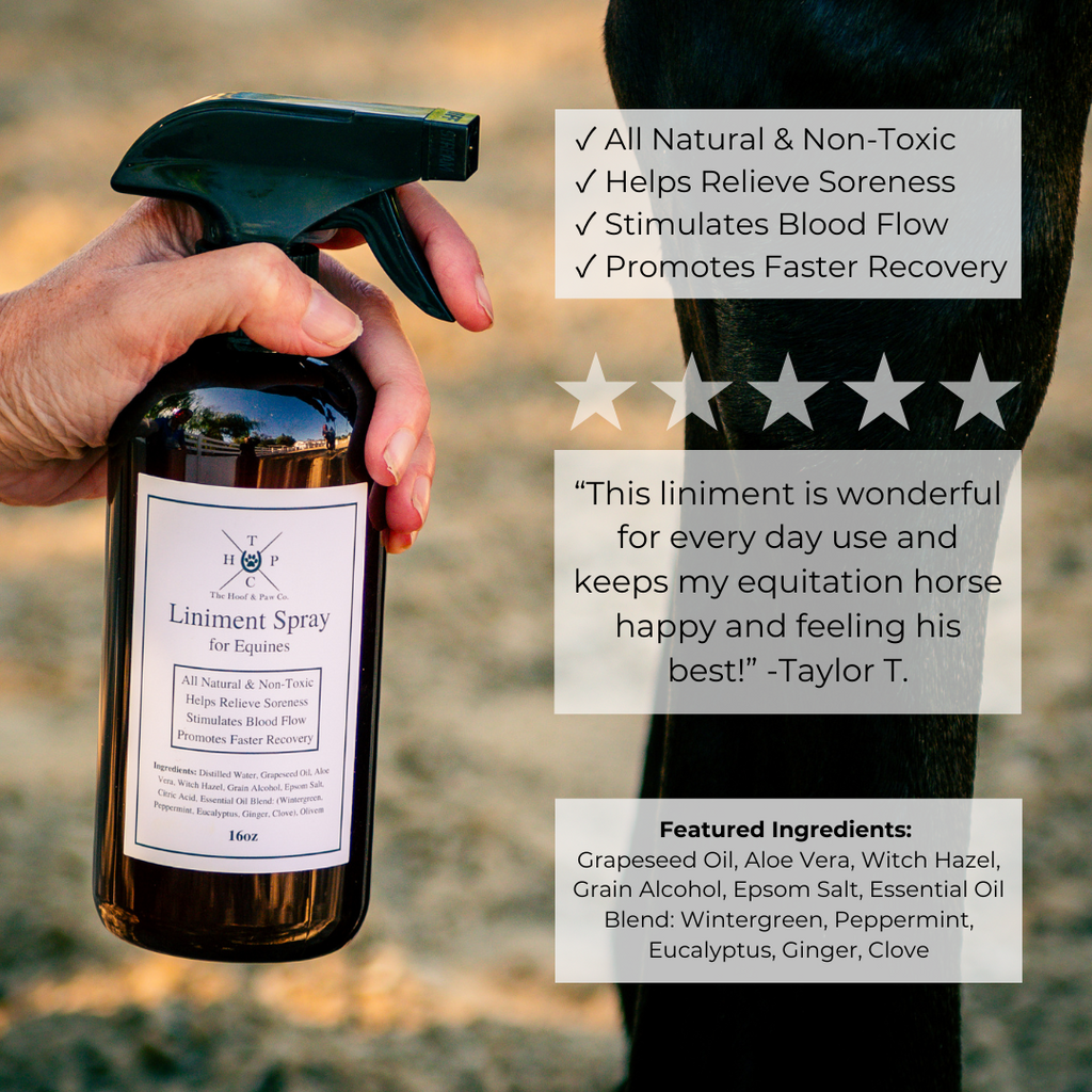 All Natural Liniment Spray - For Horses - 16oz