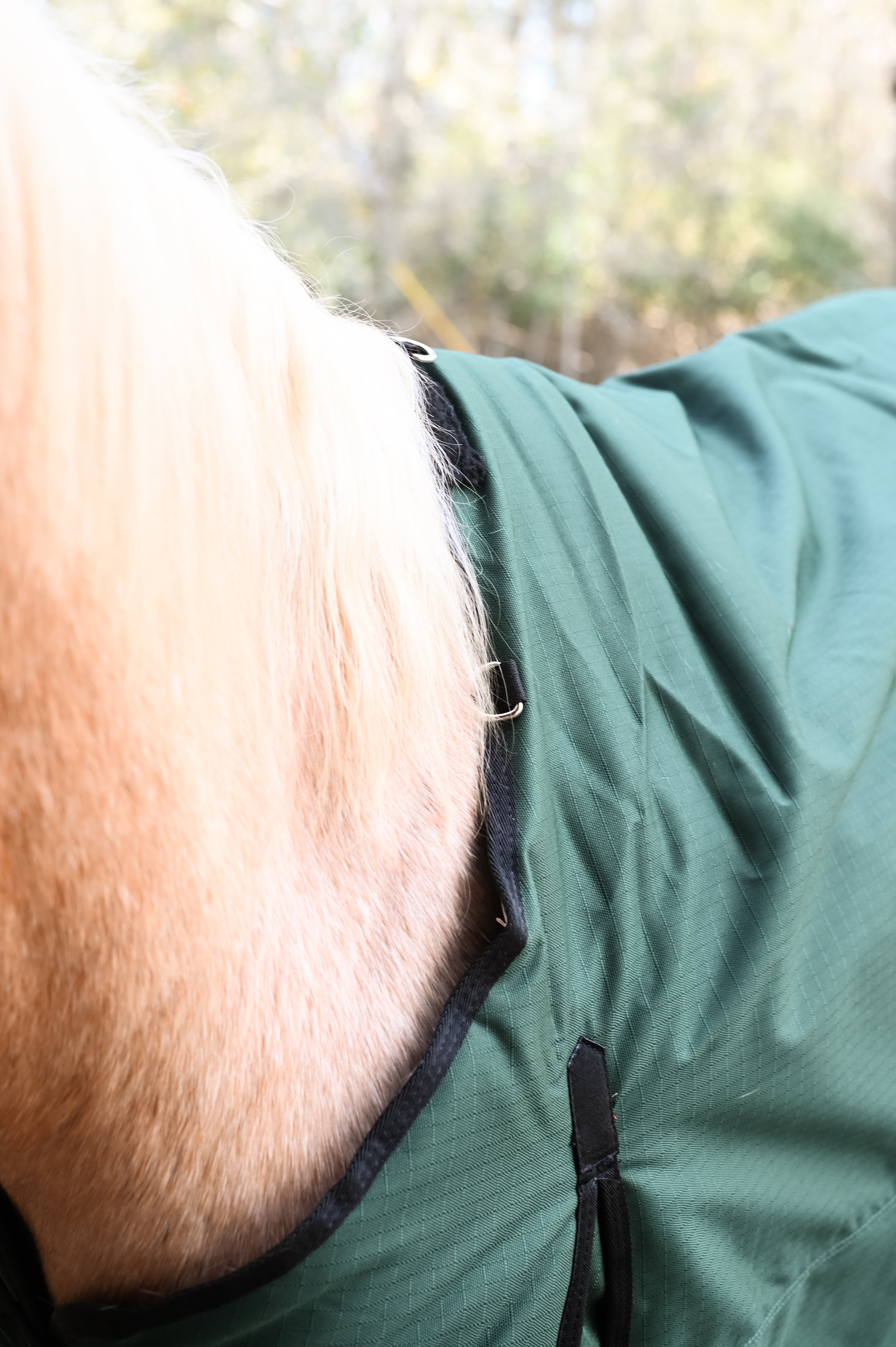 AJ Tack 1200D Waterproof Turnout Horse Blanket 400g - Green