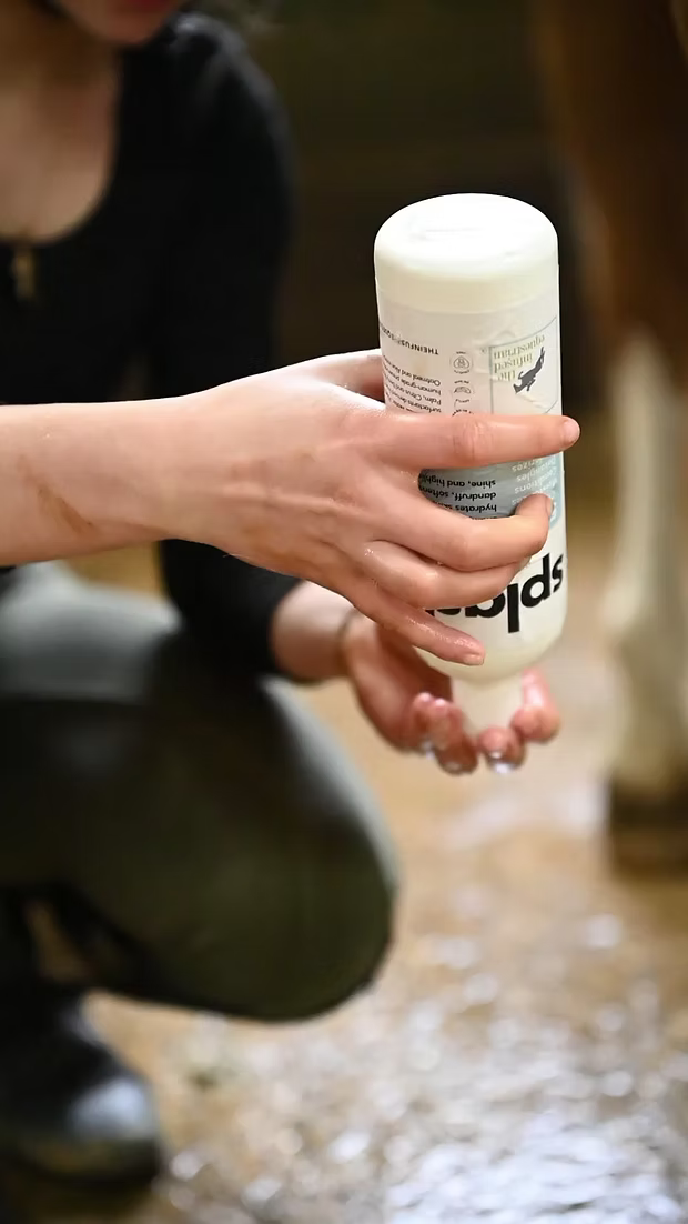Splash. A Intensifying Shampoo